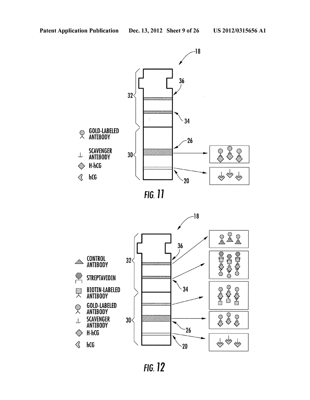 HYPERGLYCOSYLATED HCG DETECTION DEVICE - diagram, schematic, and image 10