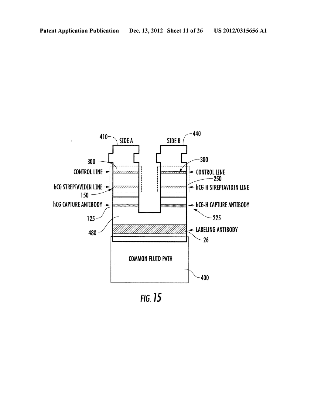 HYPERGLYCOSYLATED HCG DETECTION DEVICE - diagram, schematic, and image 12