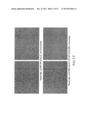 Chiral Diacylhydrazine Ligands for Modulating the Expression of Exogenous     Genes via an Ecdysone Receptor Complex diagram and image