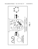 METHODS AND MATERIALS FOR PRODUCING POLYPEPTIDES IN VITRO diagram and image