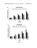 FGF BASED FIBRIN BINDING PEPTIDES diagram and image