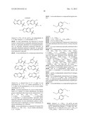 COMPOUNDS THAT MODULATE INTRACELLULAR CALCIUM diagram and image