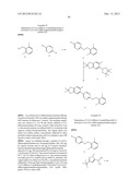 COMPOUNDS THAT MODULATE INTRACELLULAR CALCIUM diagram and image