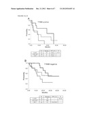 MOLECULAR BIOMARKERS FOR PREDICTING RESPONSE TO TYROSINE KINASE INHIBITORS     IN LUNG CANCER diagram and image