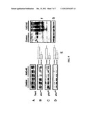 SELECTIVE GLYCOSIDASE INHIBITORS AND USES THEREOF diagram and image