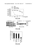 NOVEL RNAi THERAPEUTIC FOR TREATMENT OF HEPATITIS C INFECTION diagram and image