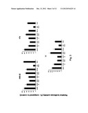 Modified INSM1-Promoter for Neuroendocrine Tumor Therapy and Diagnostics diagram and image