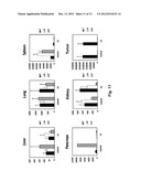 Modified INSM1-Promoter for Neuroendocrine Tumor Therapy and Diagnostics diagram and image