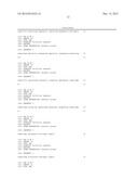 Modified INSM1-Promoter for Neuroendocrine Tumor Therapy and Diagnostics diagram and image