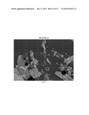 Crystalline Solids of a METAP-2 Inhibitor and Methods of Making and Using     Same diagram and image