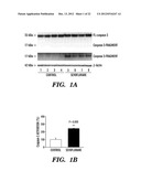 PREVENTION AND TREATMENT OF POST-OPERATIVE COGNITIVE DYSFUNCTION (POCD) diagram and image