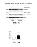 PREVENTION AND TREATMENT OF POST-OPERATIVE COGNITIVE DYSFUNCTION (POCD) diagram and image