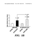 PREVENTION AND TREATMENT OF POST-OPERATIVE COGNITIVE DYSFUNCTION (POCD) diagram and image