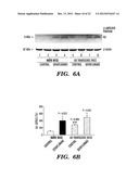 PREVENTION AND TREATMENT OF POST-OPERATIVE COGNITIVE DYSFUNCTION (POCD) diagram and image