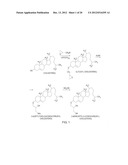 STEROID LIPID-MODIFIED POLYURETHANE AS AN IMPLANTABLE BIOMATERIAL, THE     PREPARATION AND USES THEREOF diagram and image