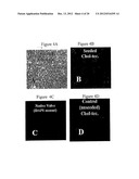 STEROID LIPID-MODIFIED POLYURETHANE AS AN IMPLANTABLE BIOMATERIAL, THE     PREPARATION AND USES THEREOF diagram and image