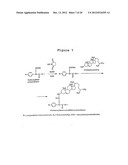 STEROID LIPID-MODIFIED POLYURETHANE AS AN IMPLANTABLE BIOMATERIAL, THE     PREPARATION AND USES THEREOF diagram and image