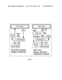 PROCESS OF MANAGED ECOSYSTEM FERMENTATION diagram and image