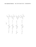 Biological Buffers with Wide Buffering Ranges diagram and image