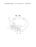 APPARATUS AND METHOD FOR MEASURING BIOLOGIC PARAMETERS diagram and image