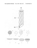 Retrievable covered stent for bifurcation aneurysms diagram and image