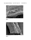 PROCESS FOR THE PREPARATION OF A PIGMENT-FIBRE COMPOSITE diagram and image