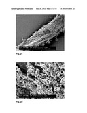 PROCESS FOR THE PREPARATION OF A PIGMENT-FIBRE COMPOSITE diagram and image