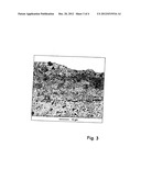 PROCESS FOR PREPARING AN OSTEOINTEGRATIVE SURFACE ON A CERAMIC BODY diagram and image