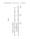 ELECTRONIC ENDOSCOPIC APPARATUS diagram and image