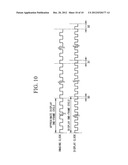 ELECTRONIC ENDOSCOPE APPARATUS diagram and image