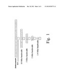 Method for Computing the Receive Power of a Non Serving Cell, and Receiver     for Doing the Same diagram and image