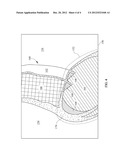 Mannequins For Use In Imaging And Systems Including The Same diagram and image