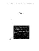 IMAGE PROCESSING APPARATUS, IMAGE PROCESSING METHOD, IMAGE PICKUP SYSTEM,     AND PROGRAM diagram and image