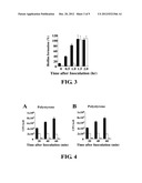 INHIBITION OF BIOFILM FORMATION BY     1,2,3,4,6-PENTA-O-GALLOYL-D-GLUCOPYRANOSE diagram and image