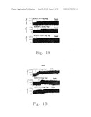 PROCESSES FOR PREPARING AMINE SALTS OF KMUP-3 AND USE THEREOF diagram and image