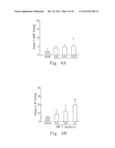 PROCESSES FOR PREPARING AMINE SALTS OF KMUP-3 AND USE THEREOF diagram and image