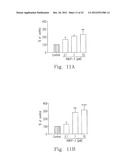 PROCESSES FOR PREPARING AMINE SALTS OF KMUP-3 AND USE THEREOF diagram and image