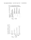 PROCESSES FOR PREPARING AMINE SALTS OF KMUP-3 AND USE THEREOF diagram and image