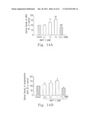 PROCESSES FOR PREPARING AMINE SALTS OF KMUP-3 AND USE THEREOF diagram and image