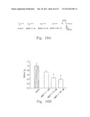 PROCESSES FOR PREPARING AMINE SALTS OF KMUP-3 AND USE THEREOF diagram and image