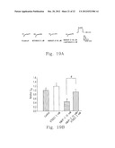 PROCESSES FOR PREPARING AMINE SALTS OF KMUP-3 AND USE THEREOF diagram and image