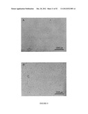 Crosslinked Hydrogels and Related Method of Preparation diagram and image