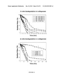 Crosslinked Hydrogels and Related Method of Preparation diagram and image