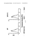 Antibody Fusion Proteins with Disrupted Heparin-Binding Activity diagram and image