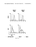 Antibody Fusion Proteins with Disrupted Heparin-Binding Activity diagram and image