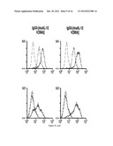 Antibody Fusion Proteins with Disrupted Heparin-Binding Activity diagram and image