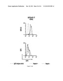 Antibody Fusion Proteins with Disrupted Heparin-Binding Activity diagram and image