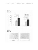 KIT FOR ADHERING BIOLOGICAL HARD TISSUES diagram and image