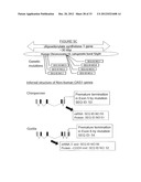 DETECTION OF MUTATIONS IN A GENE ASSOCIATED WITH RESISTANCE TO VIRAL     INFECTION, OAS1 diagram and image