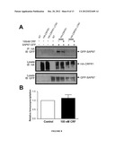 METHOD OF TREATING PSYCHOLOGICAL DISORDERS diagram and image